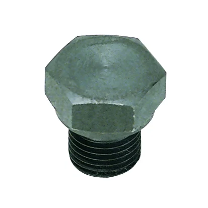 0210 17 00 Verschlussschraube Preiswert